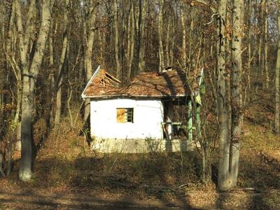 Abandoned forest cottage - Hungary - Erdőkürt-stock-foto