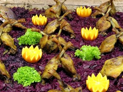 Food - Goose leg pastry on a bed of red cabbage, salad and orange.-stock-foto