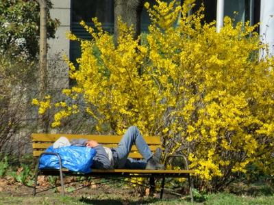 Homeless Spring - Budapest - Social problem-stock-foto