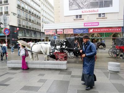 Fiacre driver and fiacre - Vienna - Austria-stock-foto