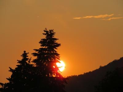 Nature - Sunset over the Nagykovács forest - Hungary-stock-photo