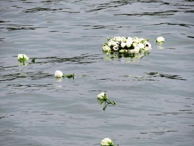 Burial on the river Danube - Budapest - Hungary-stock-photo