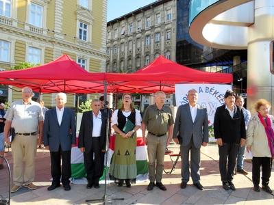 Representatives of Organisations of Forum for Peace movement - Budapest demonstration for Peace-stock-photo