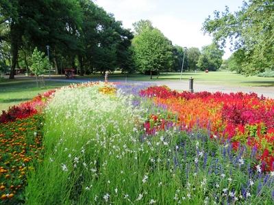 Nature - Summer color orgy on Margaret Island - Budapest-stock-photo