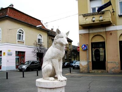 Wolf statue - Gyöngyös symbol - Hungary-stock-foto