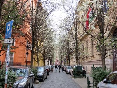 Budapest - Reviczky street in spring-stock-photo