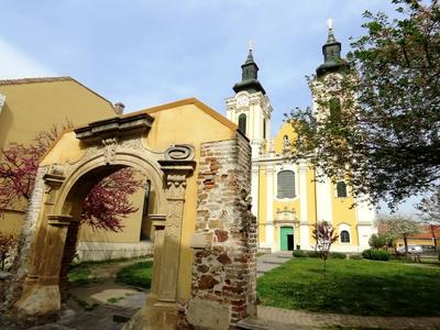 Neepomuk St. John Cistercian Church of Our Lady - Székesfehérvár - Hungary-stock-foto