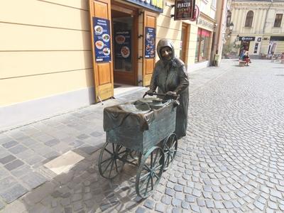 The statue of Aunt Kati, the housewife - Székesfehérvár - Hungary-stock-foto