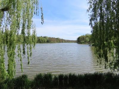 Lake of Majk - Nature - Environment-stock-photo