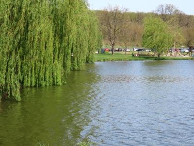 Lake of Majk - Hungary - Nature - Environment-stock-photo