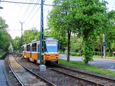 The Szilágyi Erzsébet tree row with trams - Budapest-stock-foto