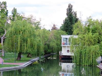 Békéscsaba - The backwater of Fehér Kőrös with sad willows. - Hungary-stock-foto