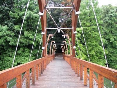 Szarvas - Wooden bridge - Hungary - Nature-stock-photo