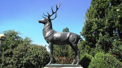 Deer statue - Szarvas City symbol - Hungary-stock-foto