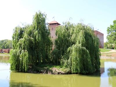 Island in the boating lake in front of Gyula castle - Hungary-stock-foto