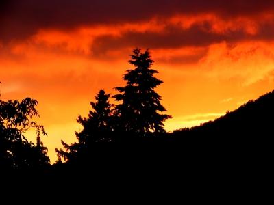 Sunset on Dog Hill in Nagykovácsi - Hungary - Nature-stock-foto