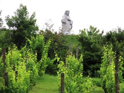 Blessing Christ statue - Tokaj - Vineyards - Hungary-stock-foto