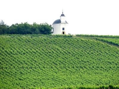 Tokaj wine region - Tarcal vineyard - Terézia chapel - Hungary-stock-foto
