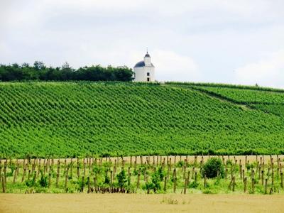 Tokaj wine region - Tarcal vineyard - Terézia chapel - Hungary-stock-foto
