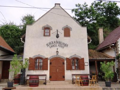 Tokaj - Wine cellar - Historic wine region - Aszu - Hungary-stock-foto