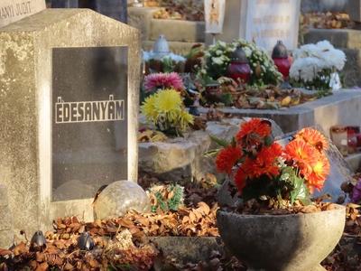 Flower in front of a mother's grave in the Farkasrét cemetery on Day of the Dead - Budapest-stock-foto