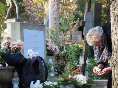 Day of Deads - Cemetery - Budapest - Woman with flower-stock-foto