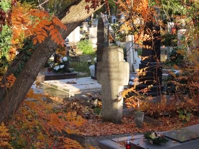 Tombstone in the Farkasrét cemetery on Day of the Dead - Budapest-stock-foto