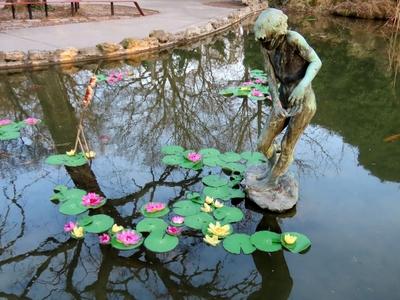 Water lily - Budapest - Japanese garden - Margaret Island-stock-foto