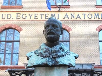 Bust of Anatomy professor Géta Mihalkovics - Budapest - Institute of Anatomy of Hungarian Semmelweis Universizy of Sciences-stock-foto
