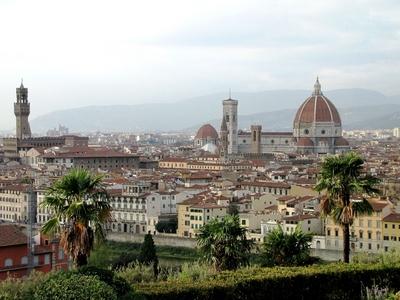 Florence - View - Firenze - Palms-stock-foto