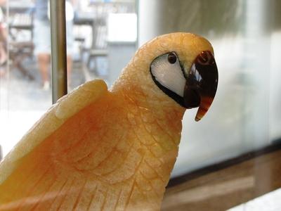 Rio de Janeiro, 25 January 2018Arara Parrot carved from semi-precious stones in a shop  of Urca hill.F?ldr?gak?b?l faragott arara papag?j az Urca hegy boltj?nak kirakat?ban.-stock-foto