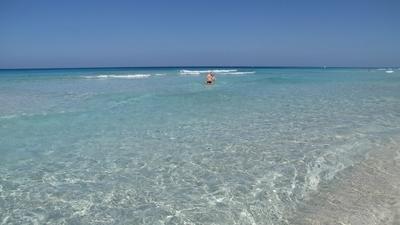 Varadero (Cuba), 2 February 2015Beach of Varadero, Cuba. A varader?i tengerpart f?rd?z?kkel. Varadero az Hicacos-f?lszigeten fekszik, Kuba vil?gh?r? nyaral?hely?n.-stock-foto