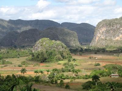 Vinales (Cuba), 27 January 2015The Mogotes of Vinales, declared by the UNESCO the natural heritage of humanity. The Mogotes were born 200 millions of years ago.A Mogotes-ek: cukors?vegszer? karsztk?p alak? mag?nyos hegyek a Havann?t?l 200 kilom?ternyire nyugatra fekv? Vinalesn?l (Pinar del Rio tartom?ny). A Guaniguanico hegyl?nc r?sz?t k?pez? Sierra de los Organos hegy Mogotesei kb. 200 milli? ?vvel ezel?tt keletkeztek a Jura f?ldt?rt?neti korban, a Tri?sz ?s a Kr?ta kor k?z?tt. Az UNESCO az emberis?g term?szeti ?r?ks?g?v? nyilv?n?totta a Vinalesi Mogotes-eket.-stock-foto