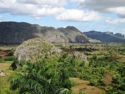 Vinales (Cuba), 27 January 2015The Mogotes of Vinales, declared by the UNESCO the natural heritage of humanity. The Mogotes were born 200 millions of years ago.A Mogotes-ek: cukors?vegszer? karsztk?p alak? mag?nyos hegyek a Havann?t?l 200 kilom?ternyire nyugatra fekv? Vinalesn?l (Pinar del Rio tartom?ny). A Guaniguanico hegyl?nc r?sz?t k?pez? Sierra de los Organos hegy Mogotesei kb. 200 milli? ?vvel ezel?tt keletkeztek a Jura f?ldt?rt?neti korban, a Tri?sz ?s a Kr?ta kor k?z?tt. Az UNESCO az emberis?g term?szeti ?r?ks?g?v? nyilv?n?totta a Vinalesi Mogotes-eket.-stock-foto