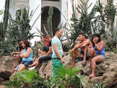 Havana, 25 January 2015Young people in a City Park.Kubai fiatalok egy v?rosi parkban.-stock-foto