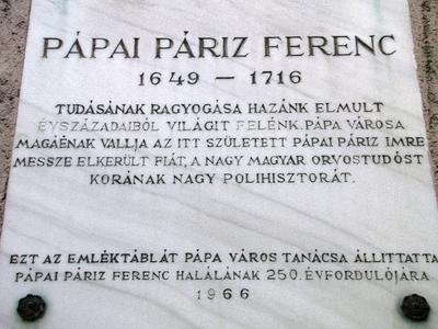 P?pa, 2014. m?jus 2.P?pai P?riz Ferenc orvostud?s eml?kt?bl?ja.-stock-photo