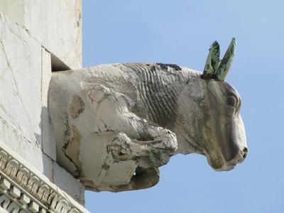 Pisa - Cathedral decoration - Capibara Head - Italy-stock-foto