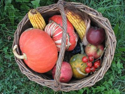 Velem (Hungary), 13 September 2016.Honesty basket in a Velem street.Becs?letkos?r a velemi utc?n.-stock-foto