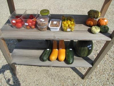 Velem (Hungary), 13 September 2016.Honesty market in a Velem street.Becs?letpiac a velemi utc?n.-stock-foto