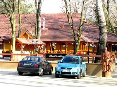 Bugyi, 2010. m?rcius 14.A bugyi vad?sz cs?rda, a vad?szkast?ly (Forster kast?ly) birtok?n.-stock-foto