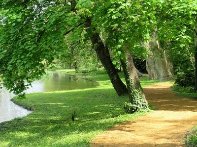 Martonv?s?r, 30 April 2017Part of the park of Brunszvik Castle.A Brunszvik kast?ly parkj?nak r?szlete.-stock-foto