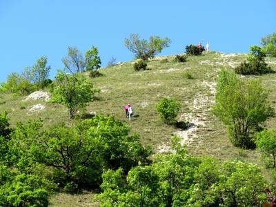 Spring on Dog Hill in Nagykovácsi-stock-foto