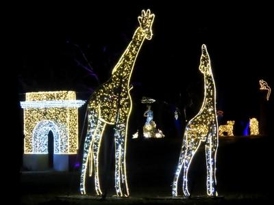 Budapest - The lights of Lumina Park in Margaret Island-stock-foto