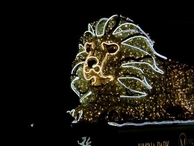 Budapest - The lights of Lumina Park.in Margaret Island-stock-foto