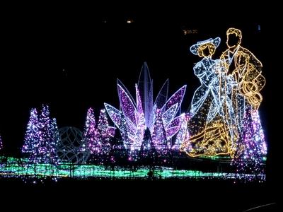 Budapest - The lights of Lumina Park on Margaret Island-stock-foto