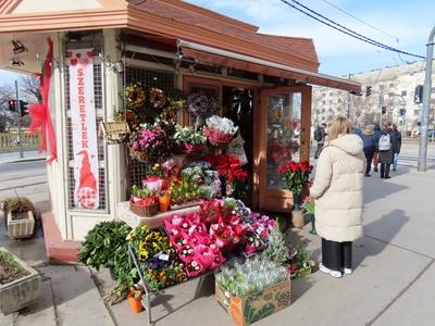Budapest florist on Valentine's Day at Jászai Mari Square-stock-foto