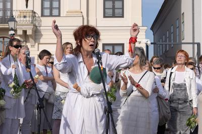 Hungarian mothers protest in Budapest-stock-foto