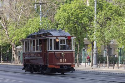 Historic tram in Budapest-stock-foto