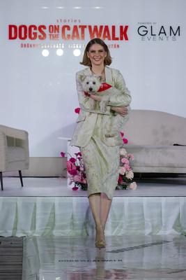 Dogs on the Catwalk in Budapest-stock-photo
