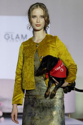 Dogs on the Catwalk in Budapest-stock-photo